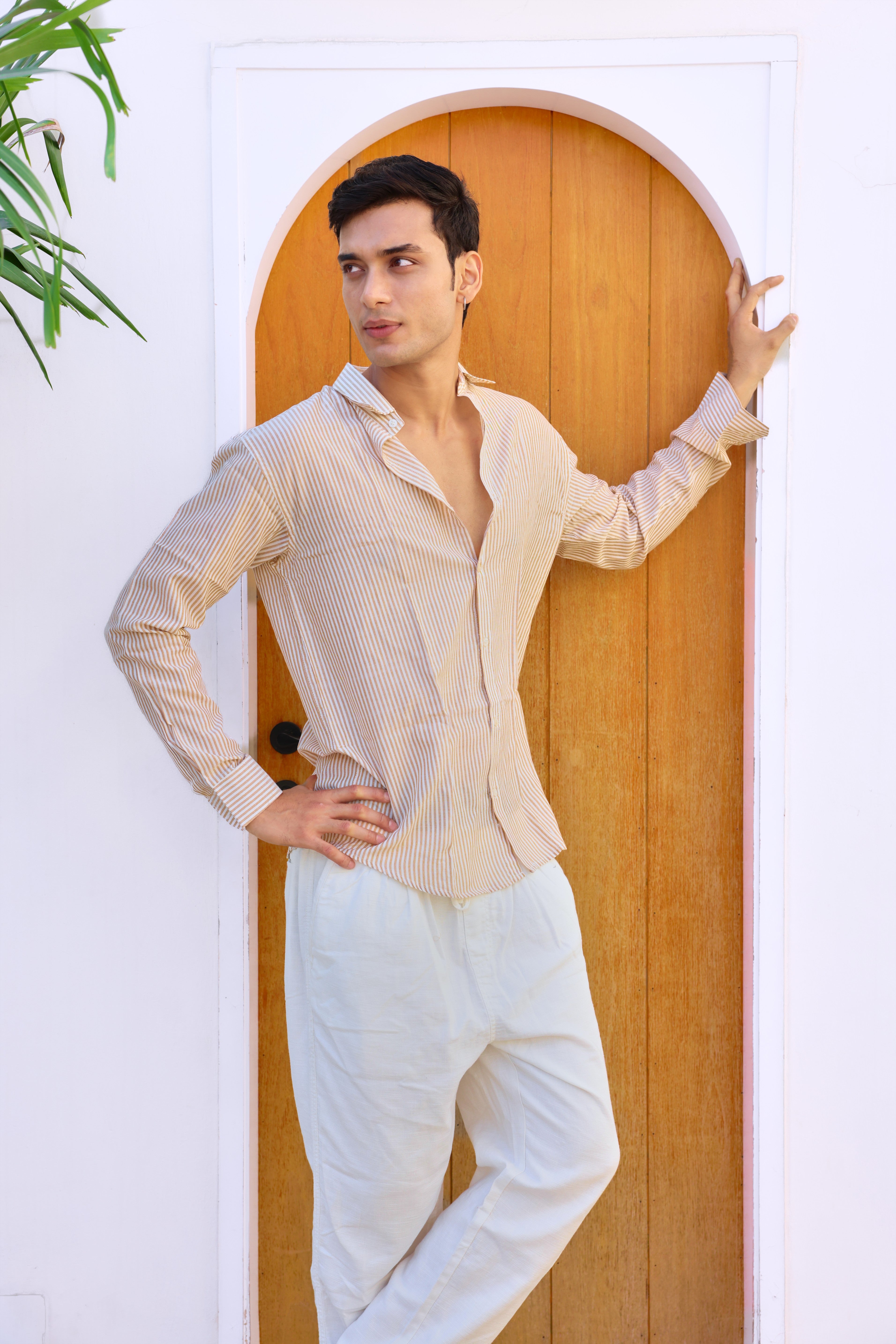 Brown and White Regular fit Striped Full Sleeves Shirt