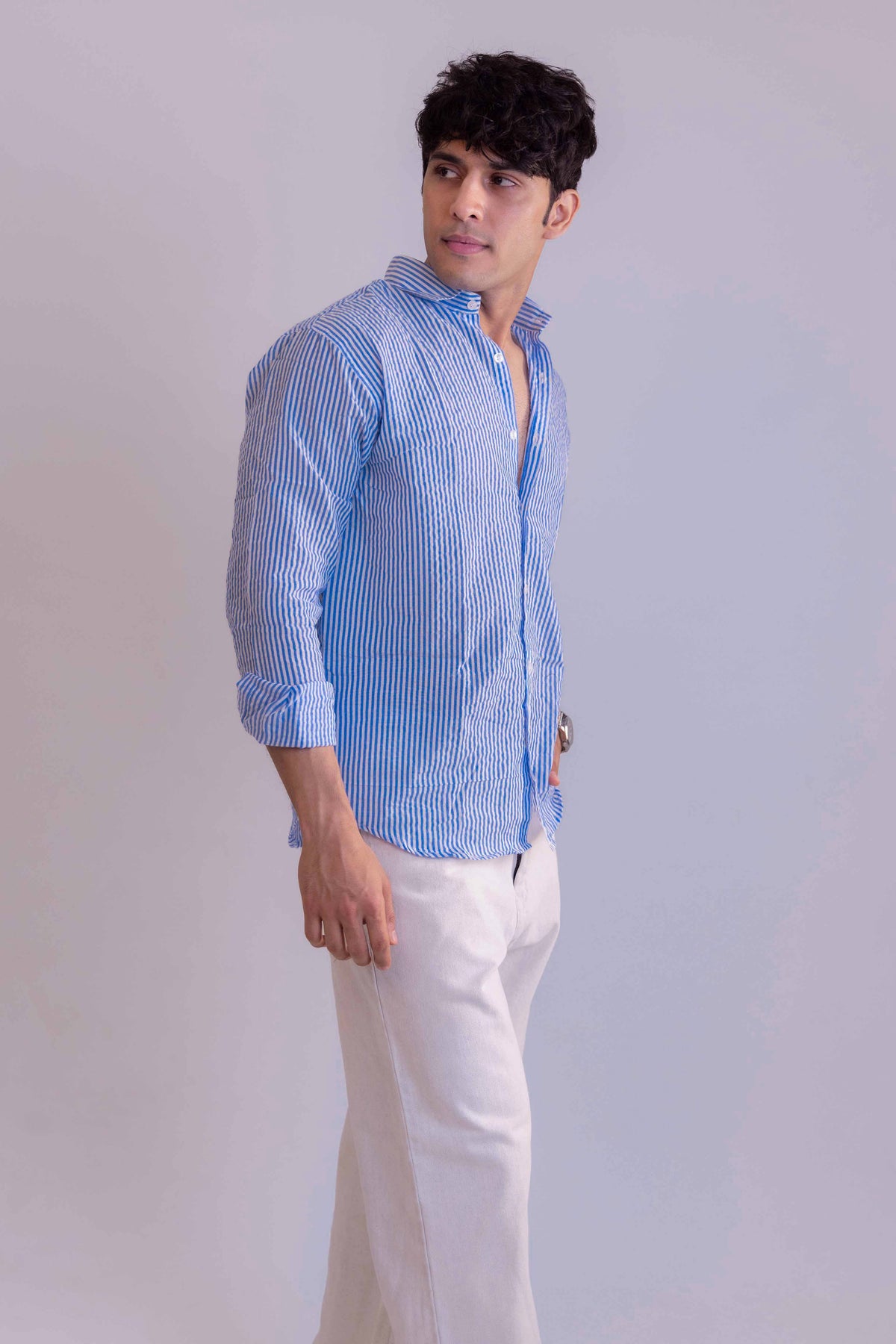 Blue Stripe Regular Fit Full sleeves Shirt