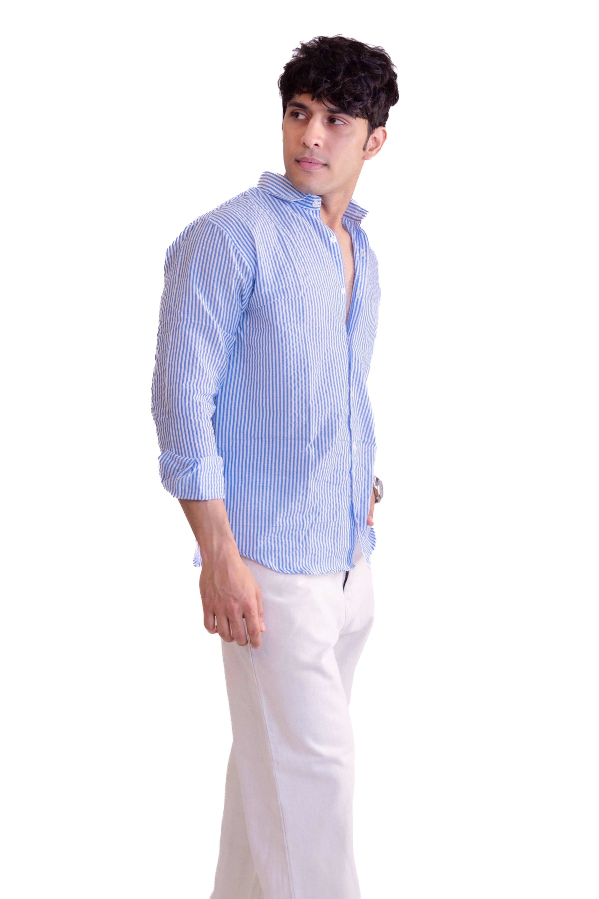 Blue Stripe Regular Fit Full sleeves Shirt