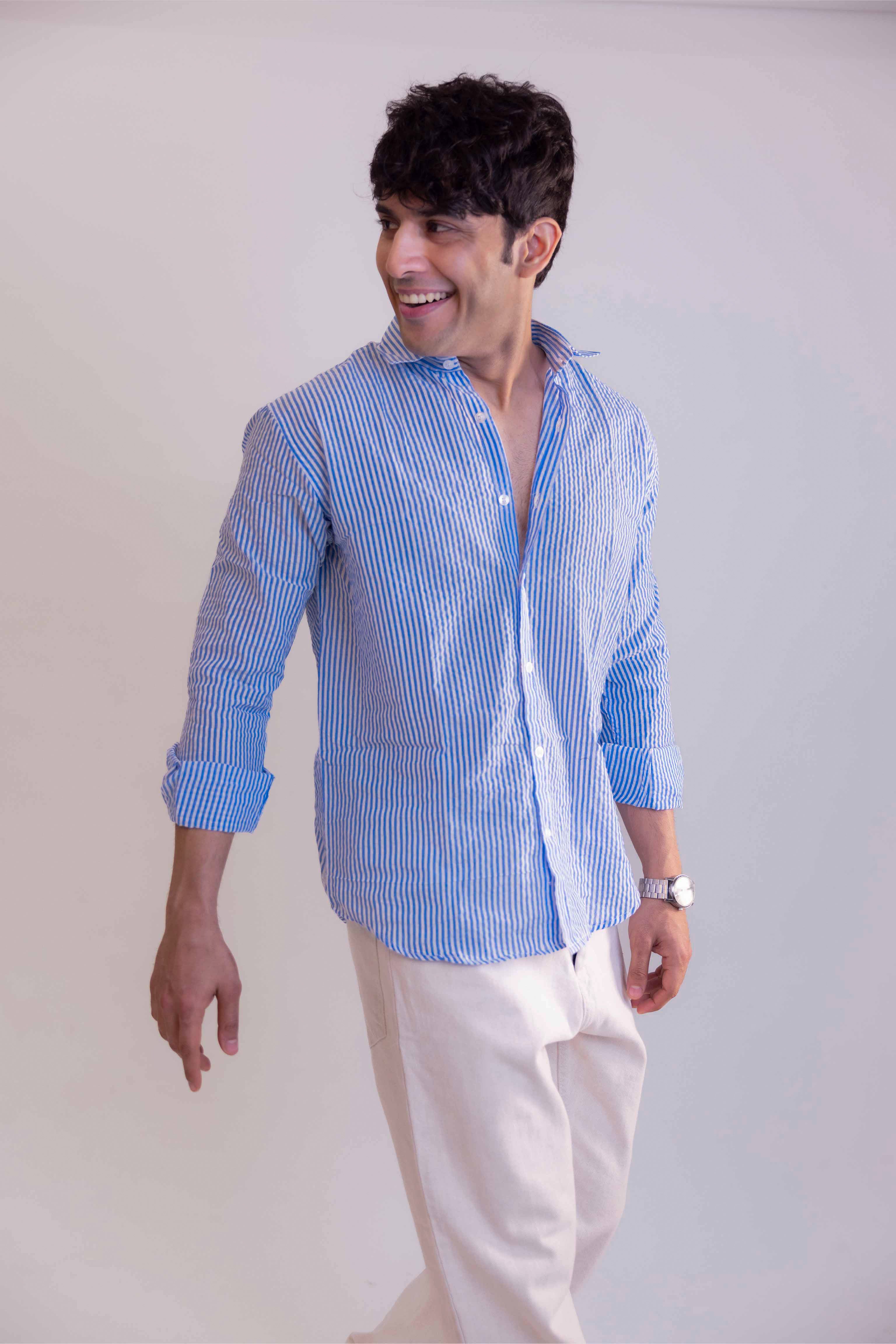 Blue Stripe Regular Fit Full sleeves Shirt