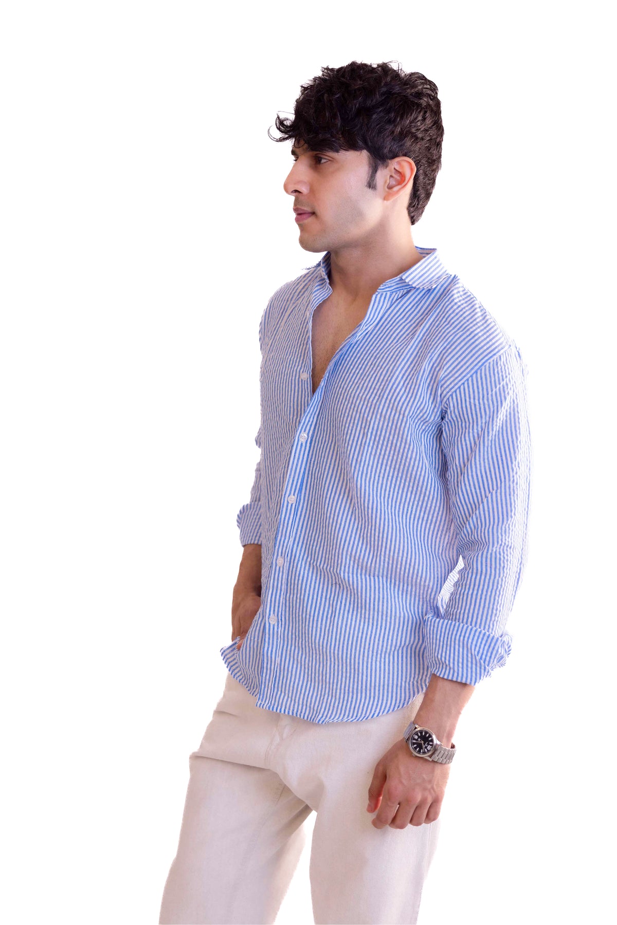 Blue Stripe Regular Fit Full sleeves Shirt