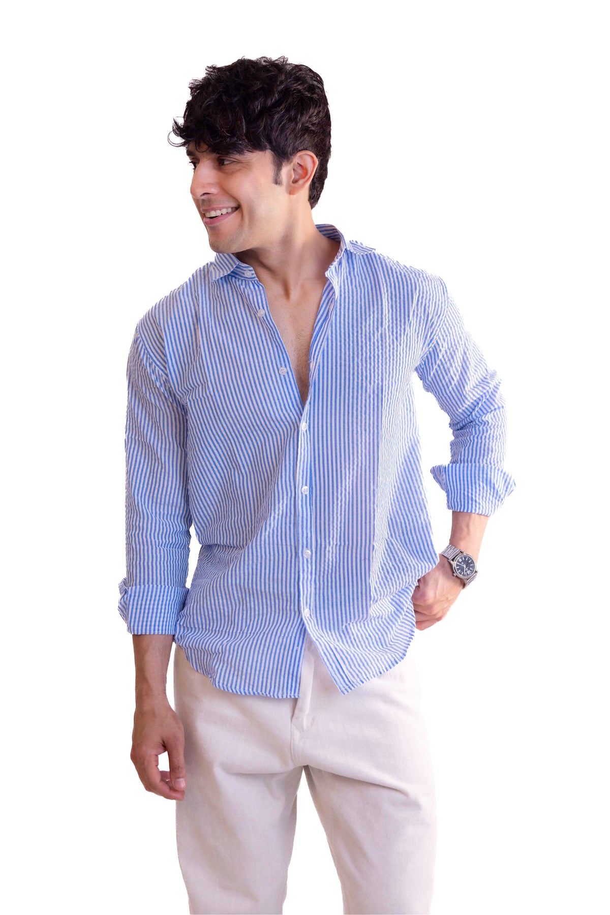 Blue Stripe Regular Fit Full sleeves Shirt